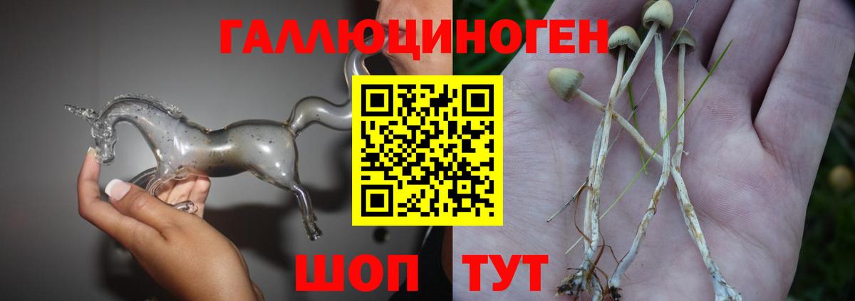 Галлюциногенные грибы мицелий Камень-на-Оби